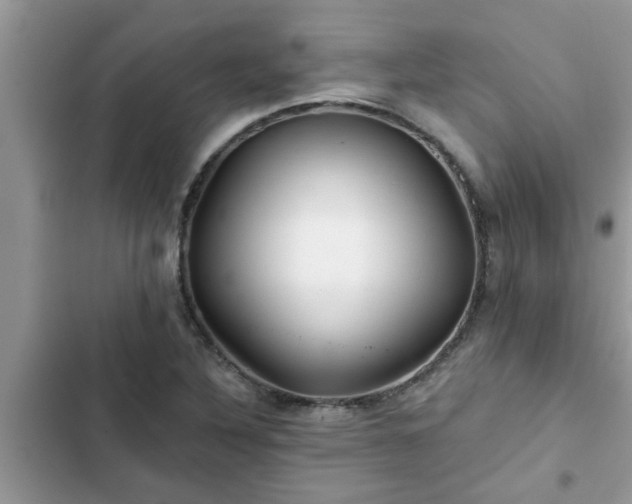 X0000102541316200808151633