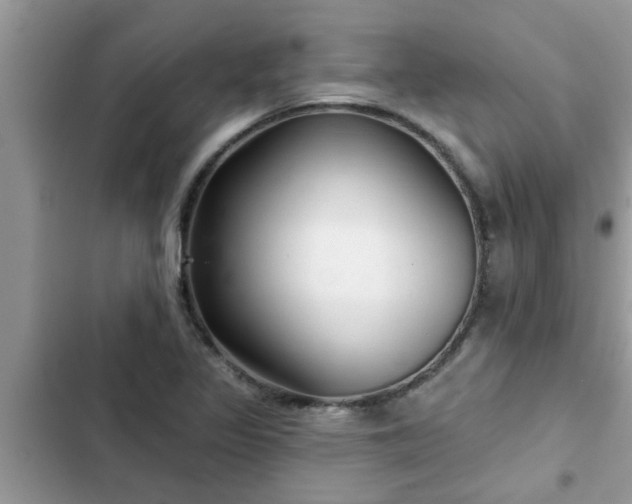 X0000102541317200808151633
