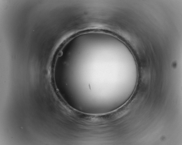 X0000102541318200808151633