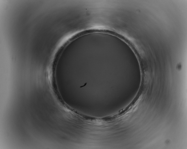 X0000102541319200808151633