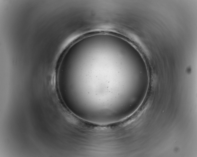X0000102541320200808151633