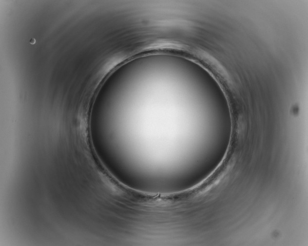 X0000102541321200808151634