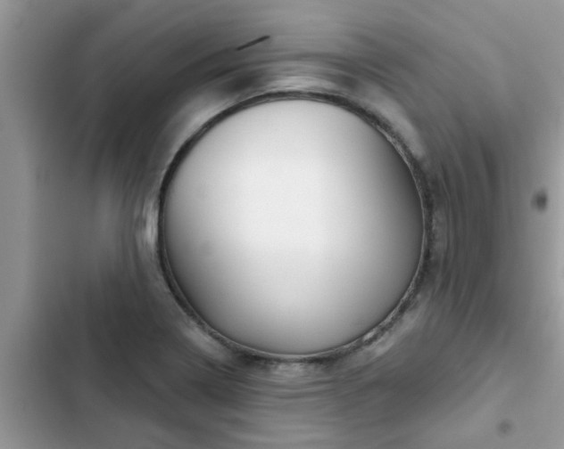 X0000102541322200808151634