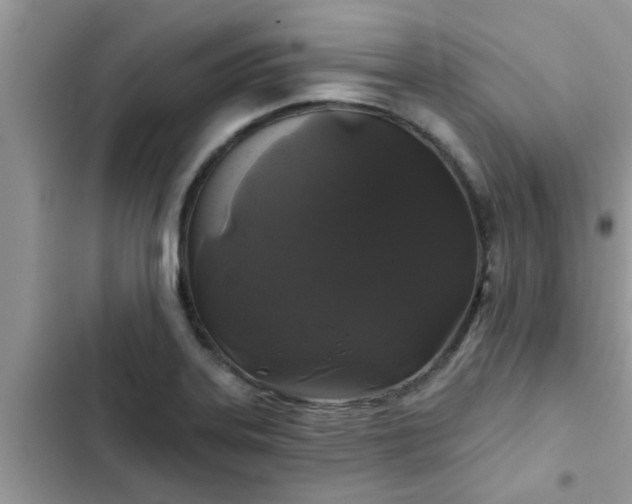 X0000102541323200808151634
