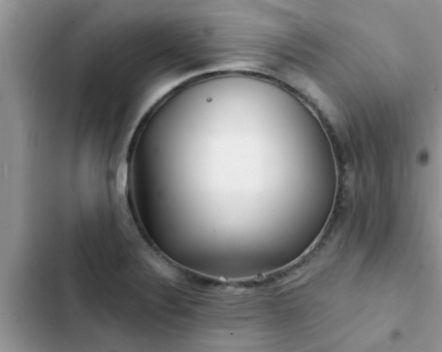 X0000102541324200808151634