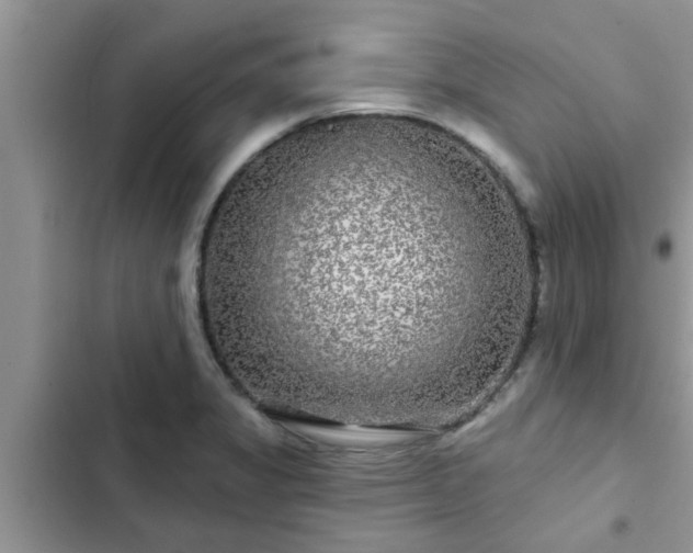 X0000102541325200808151634