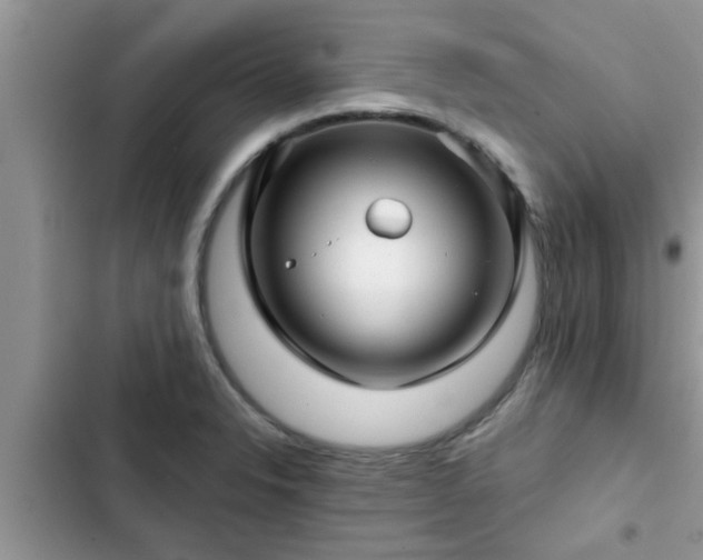 X0000102541326200808151634