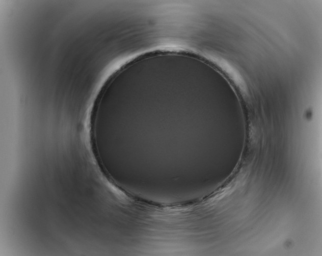 X0000102541327200808151634