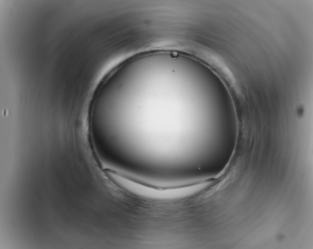 X0000102541328200808151634