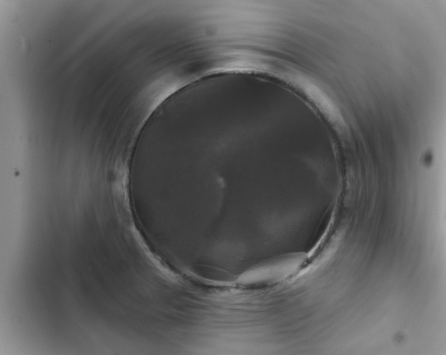 X0000102541329200808151634