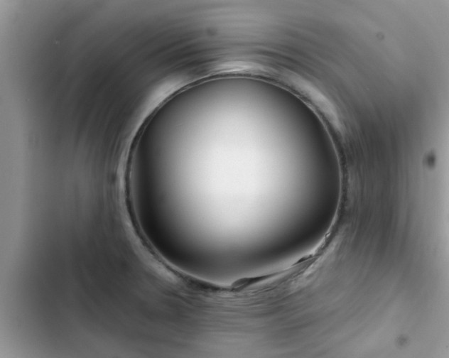 X0000102541330200808151634
