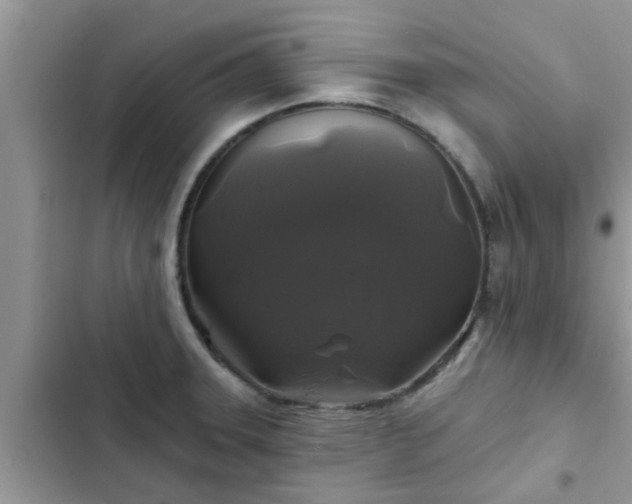 X0000102541331200808151634