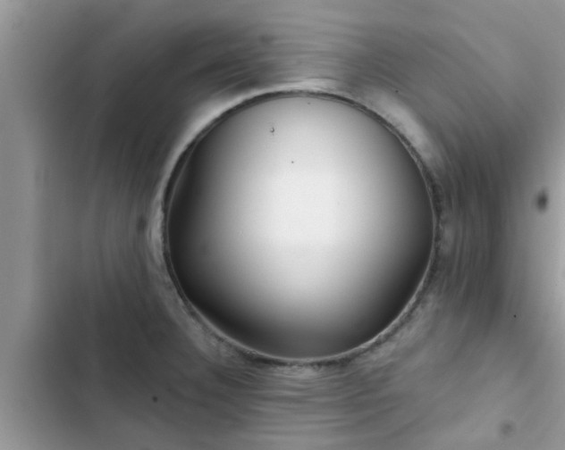 X0000102541332200808151634