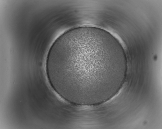 X0000102541333200808151634
