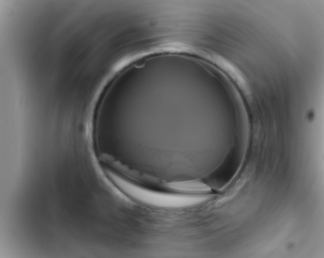 X0000102541334200808151634
