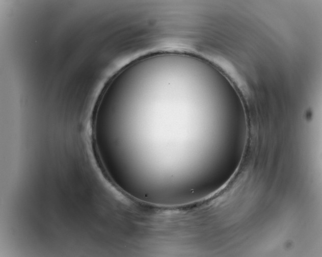 X0000102541335200808151634