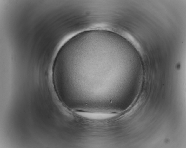 X0000102541336200808151634