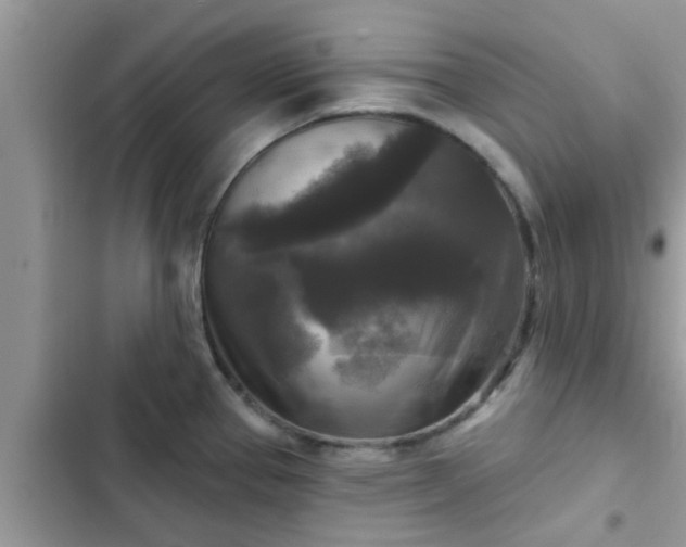 X0000102541337200808151634