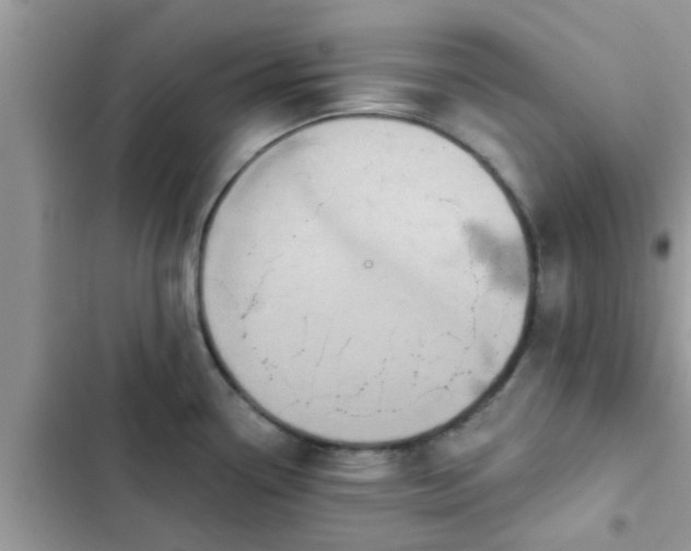 X0000102541338200808151634