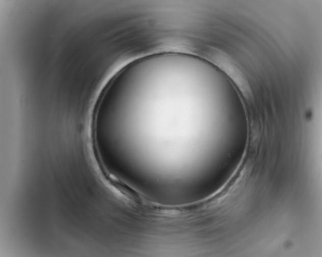 X0000102541339200808151634