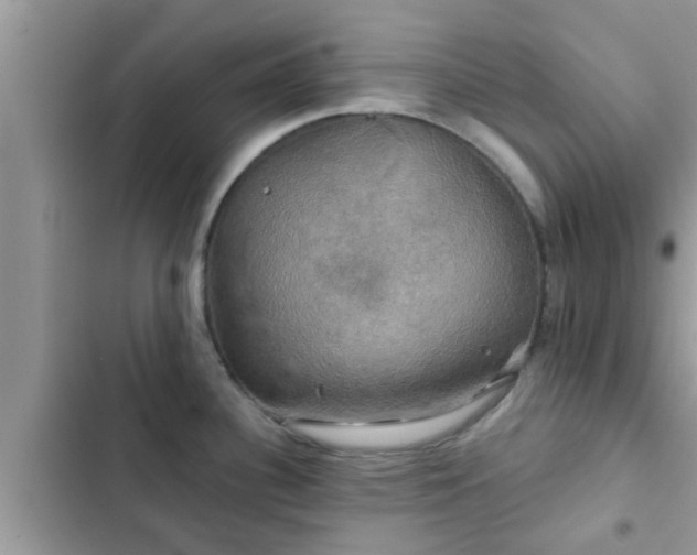 X0000102541340200808151634