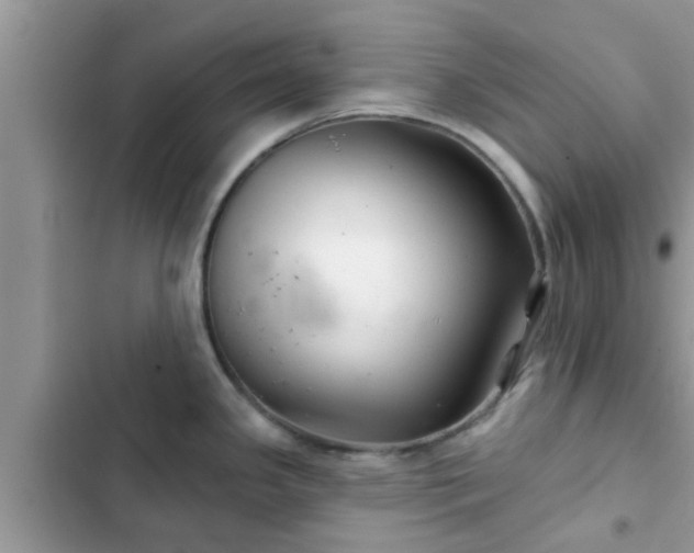 X0000102541341200808151634