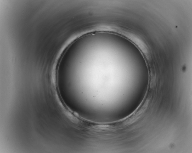 X0000102541342200808151634