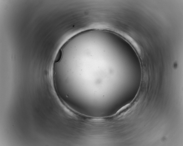X0000102541343200808151634