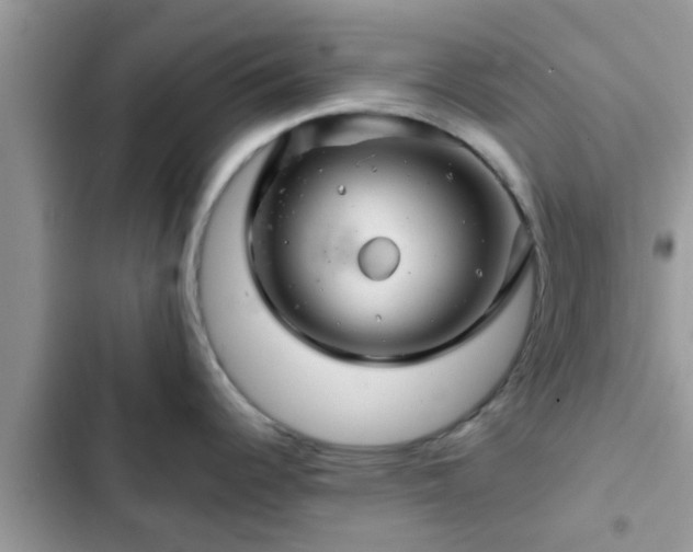 X0000102541344200808151634