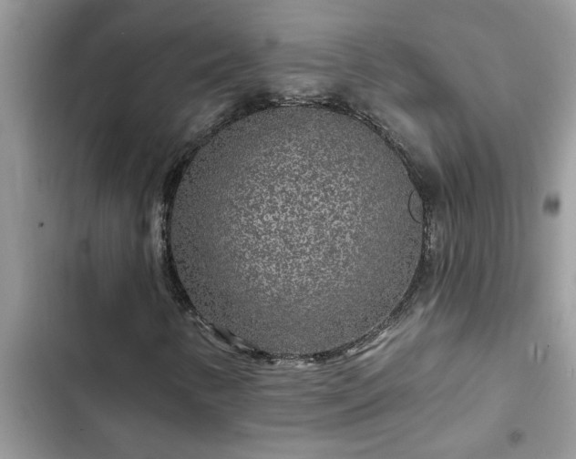 X0000102541346200808151633