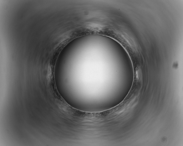X0000102541347200808151633