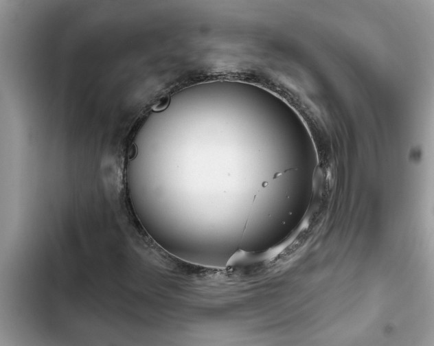 X0000102541348200808151633