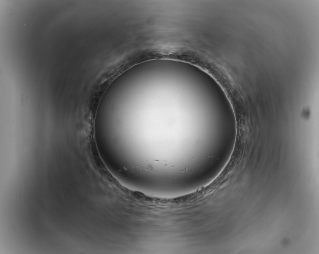X0000102541349200808151633