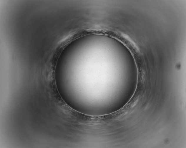 X0000102541350200808151633