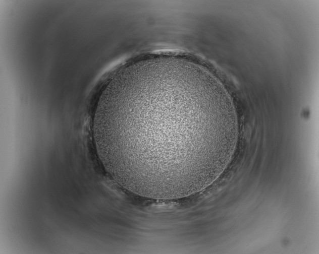 X0000102541351200808151633