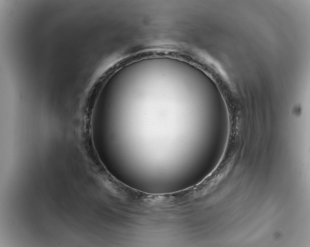 X0000102541352200808151633