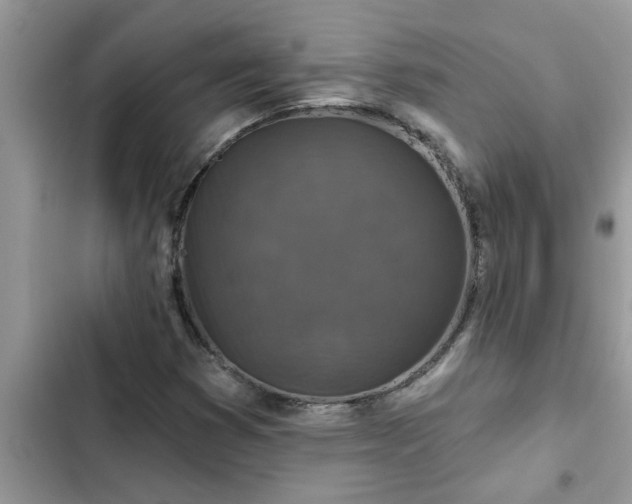 X0000102541353200808151633
