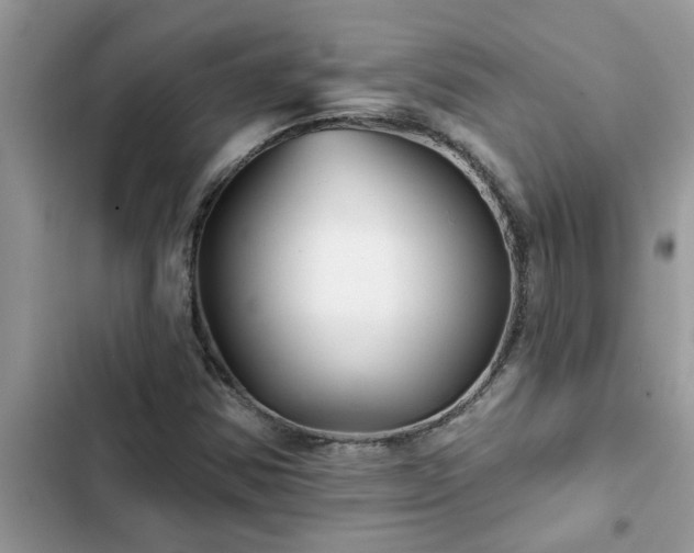 X0000102541354200808151633