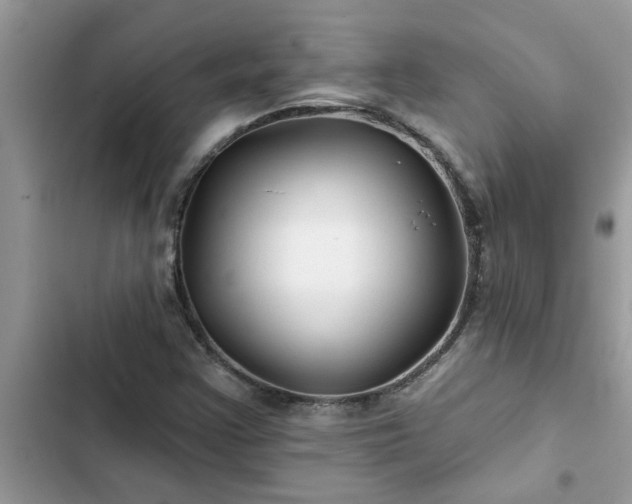 X0000102541355200808151633