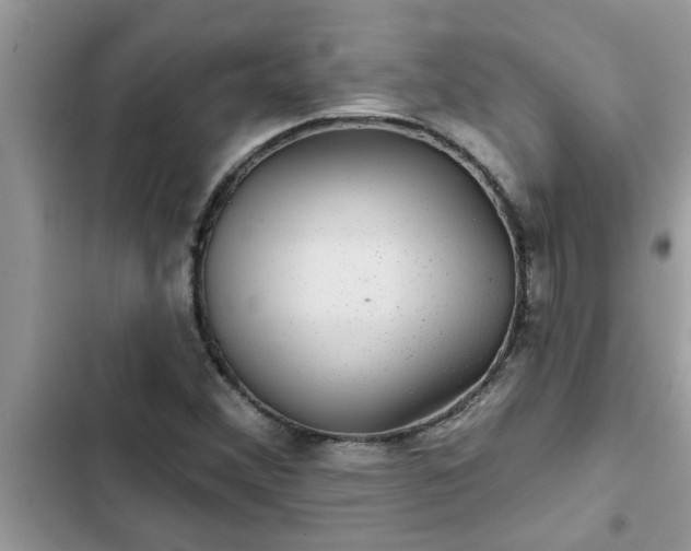X0000102541356200808151633