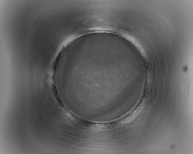 X0000102541357200808151633
