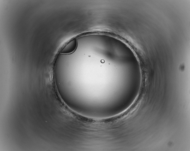 X0000102541358200808151633