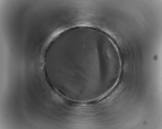 X0000102541359200808151633