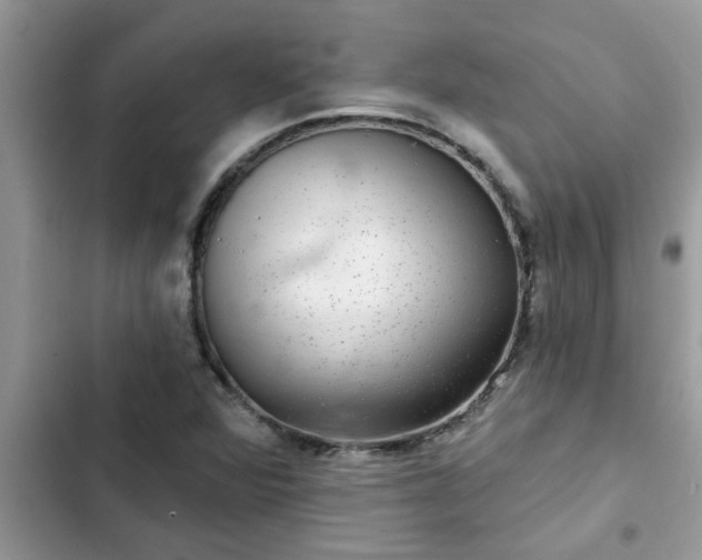 X0000102541360200808151633