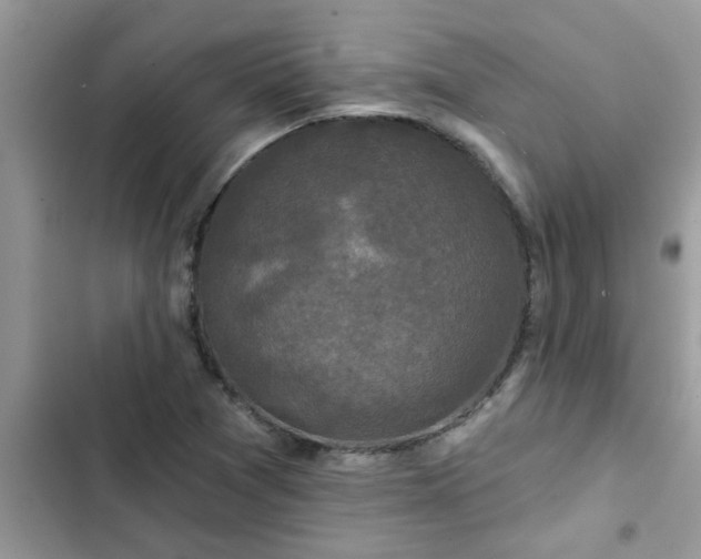 X0000102541361200808151633