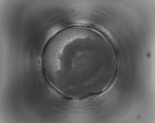 X0000102541362200808151633