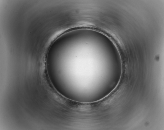 X0000102541363200808151633
