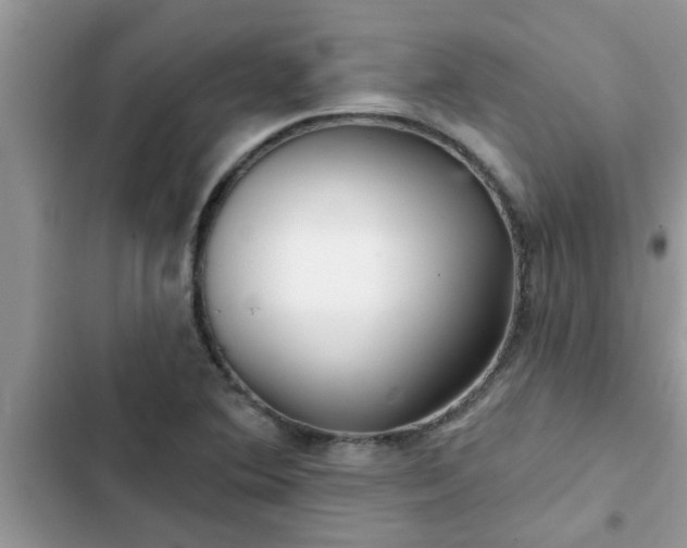 X0000102541364200808151633