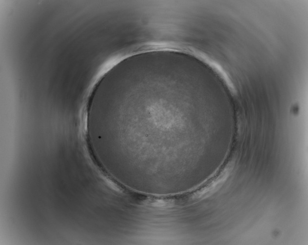 X0000102541365200808151633