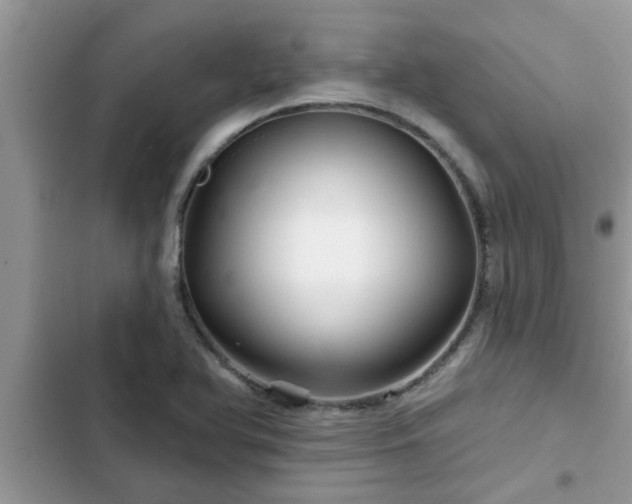 X0000102541366200808151633